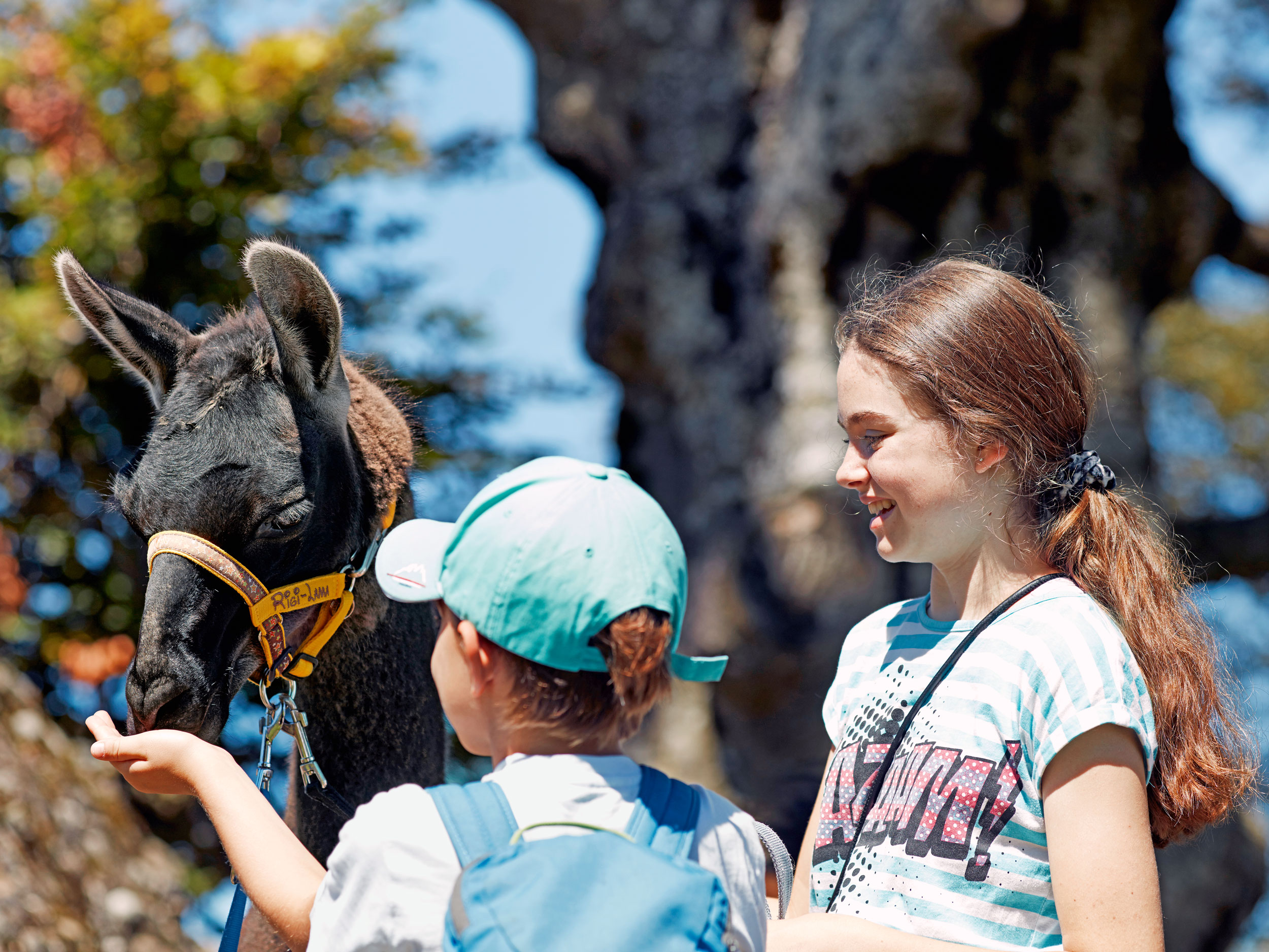 Kids with lama