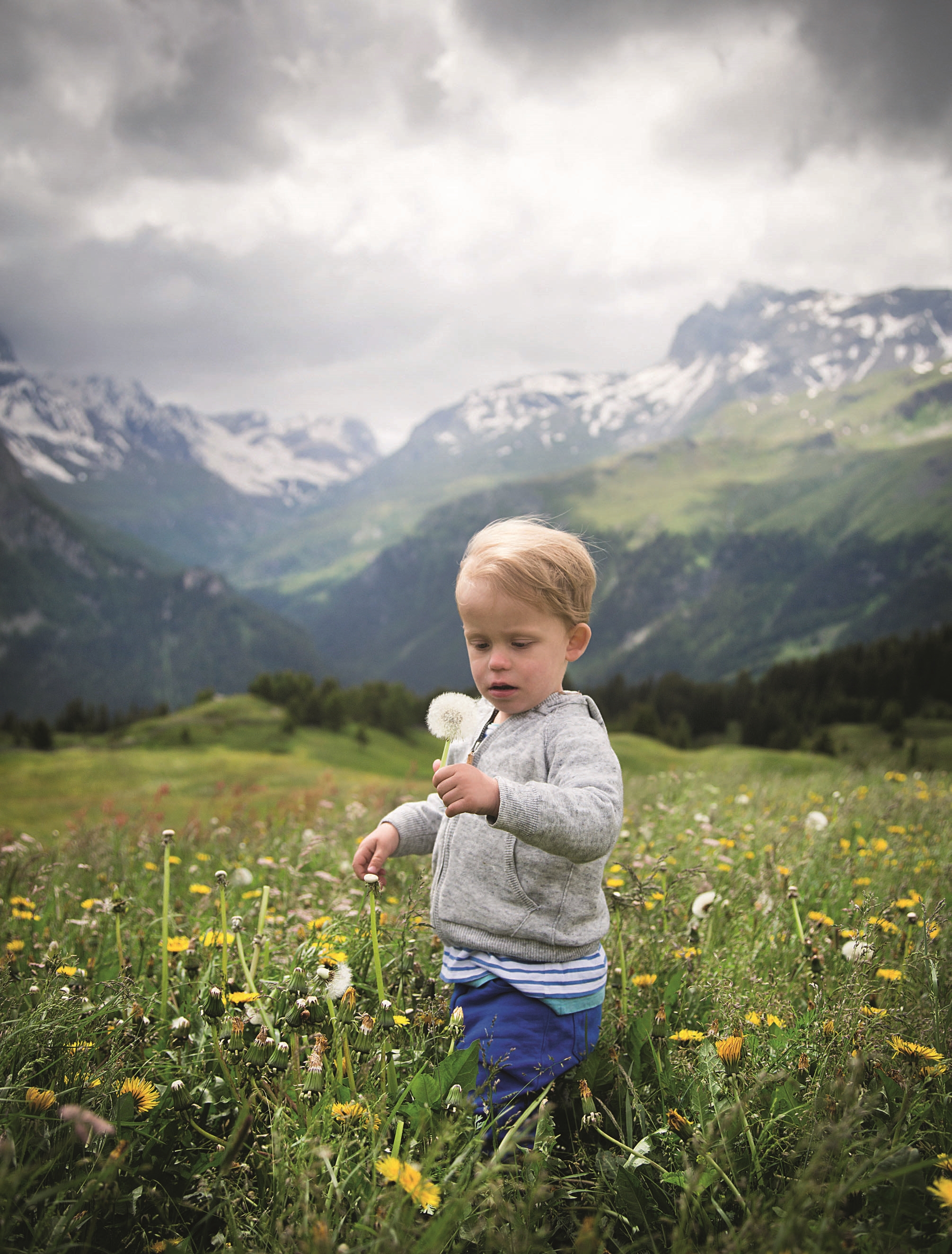 Junge mit einer Pusteblume in der Hand