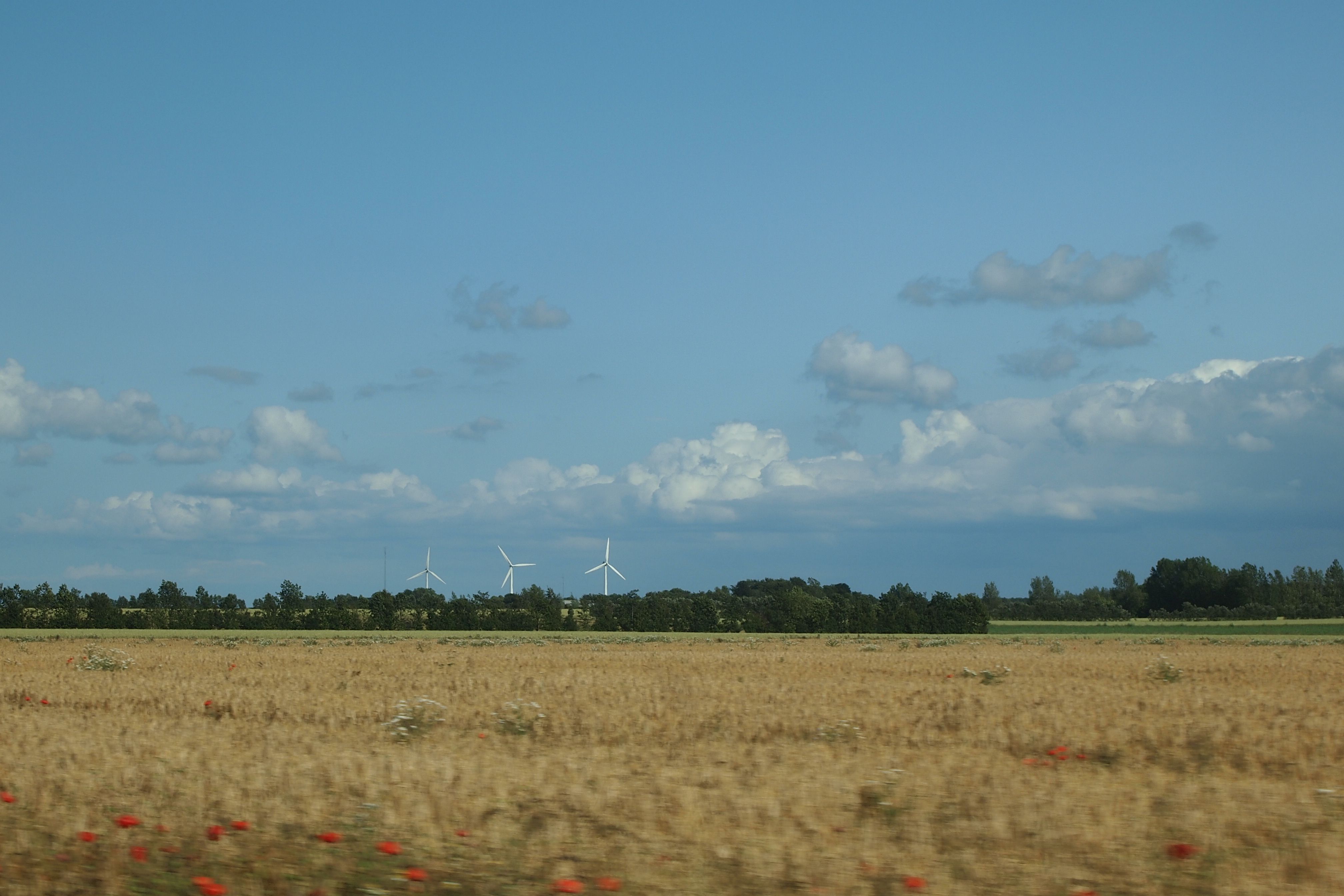 Aussicht aus dem Auto