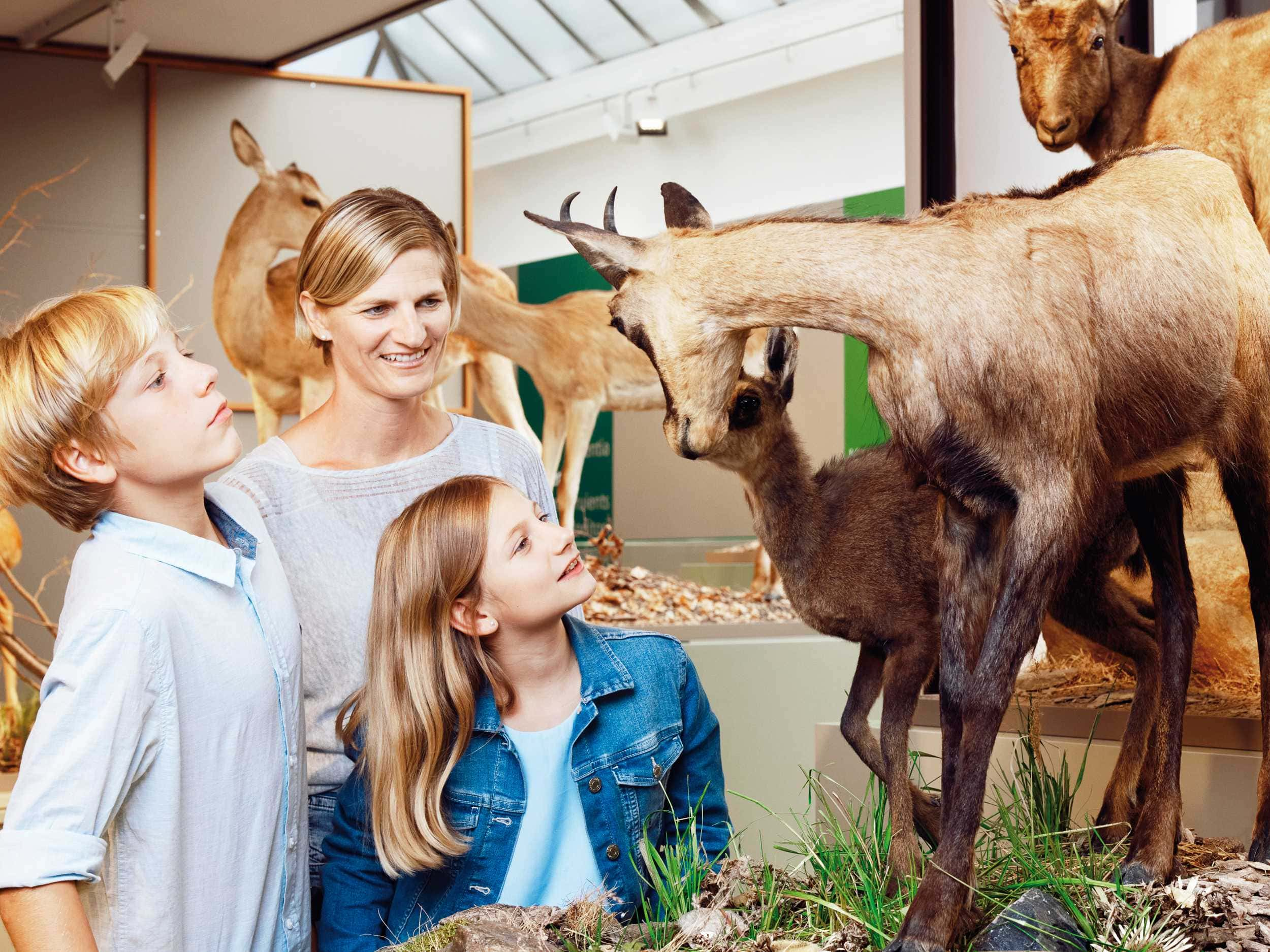 kultur neustadt naturmuseum familien hannesheinzer (2)