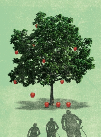 Illustrationen von Patric Sandri