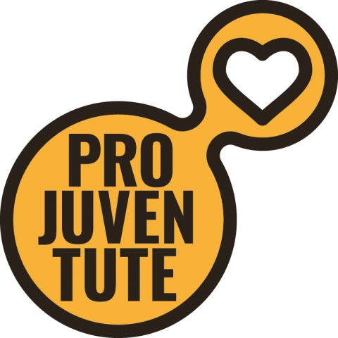 Offizielles Logo der Stiftung Pro Juventute 2016
