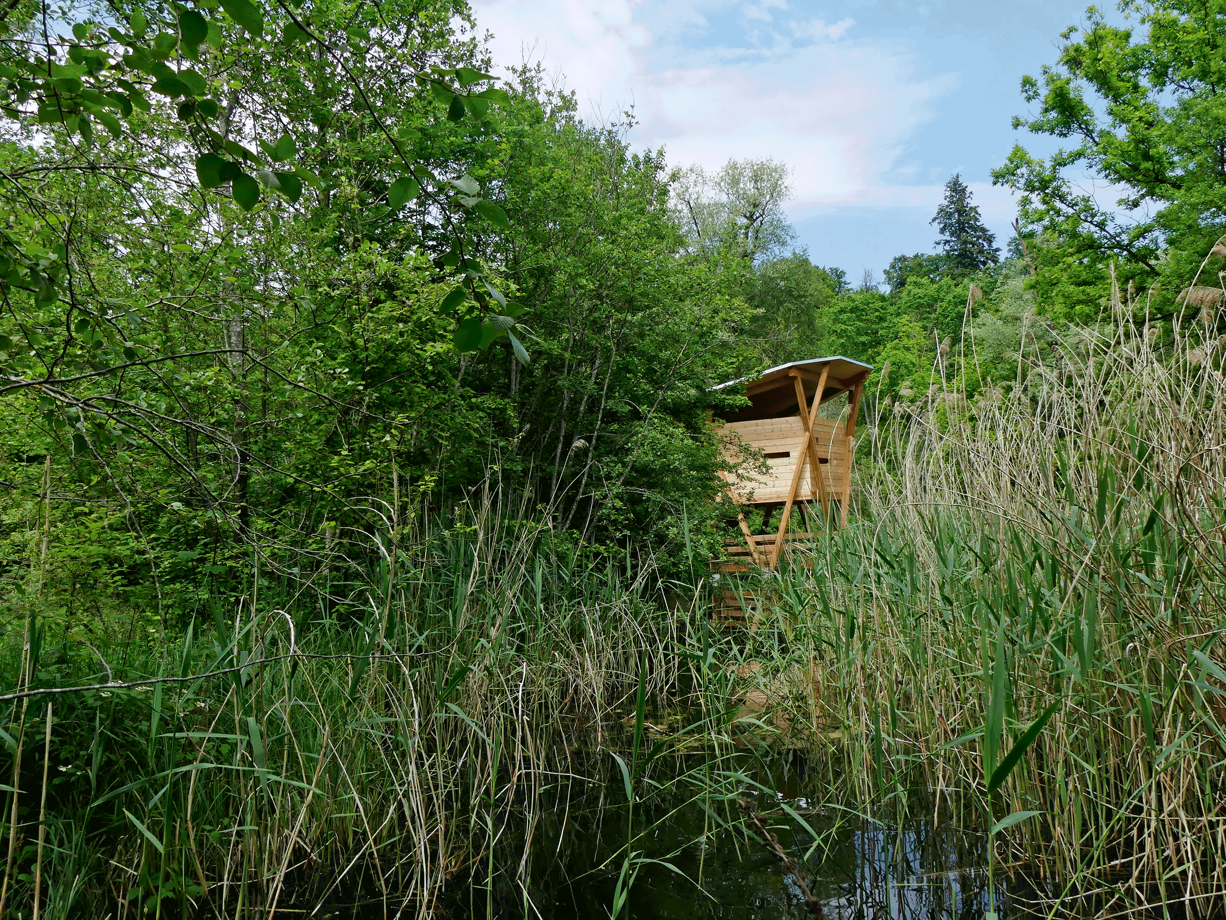 Naturreservat Eichholz, BE