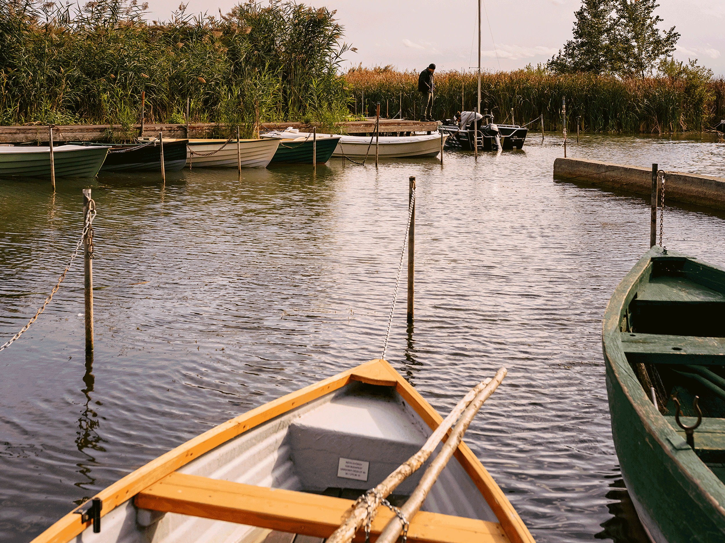 Boat in a river