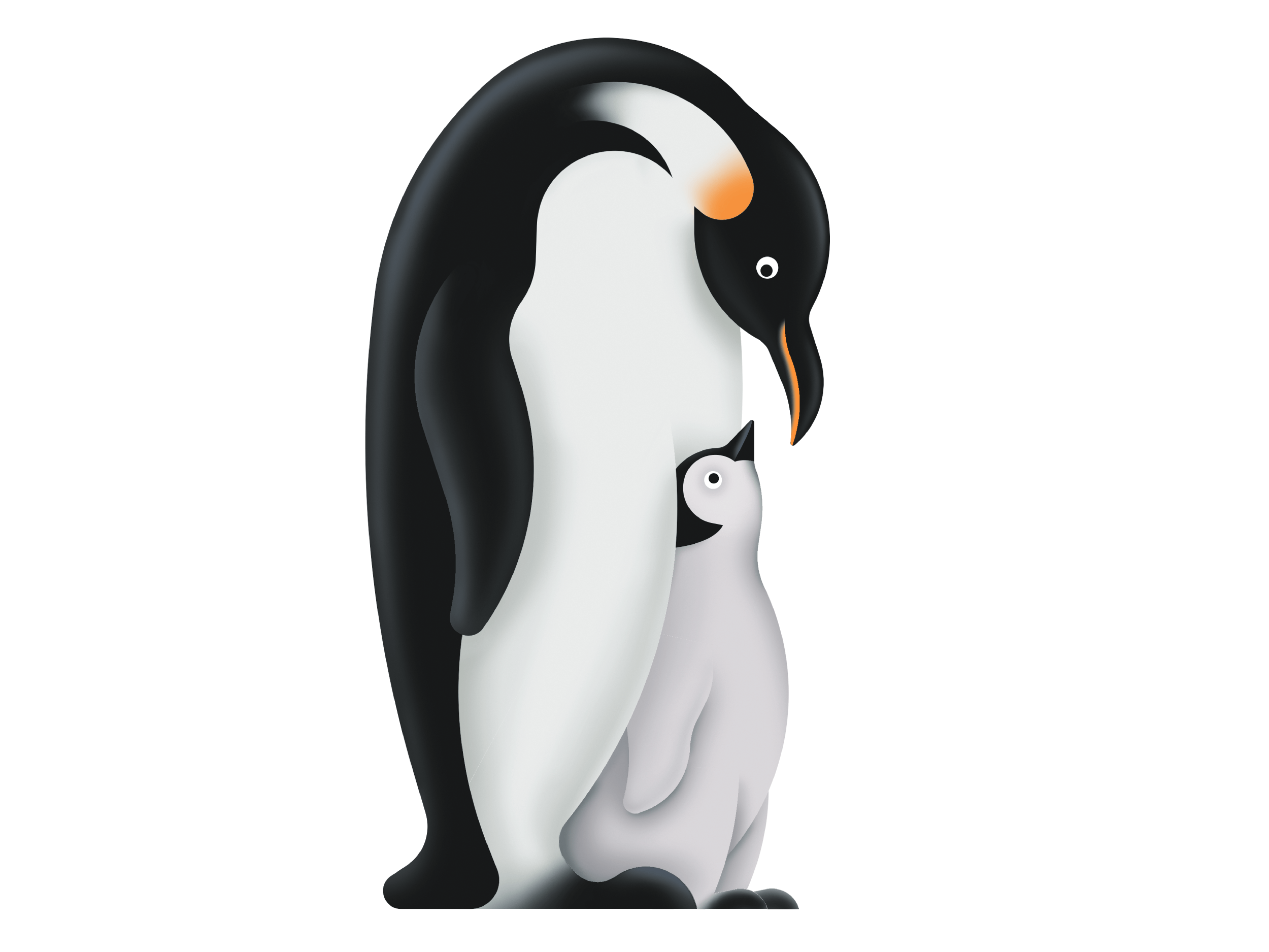 illustration pinguin