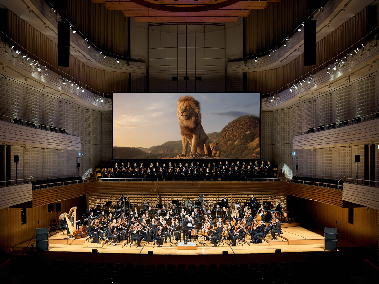 Der-König-der-Löwen