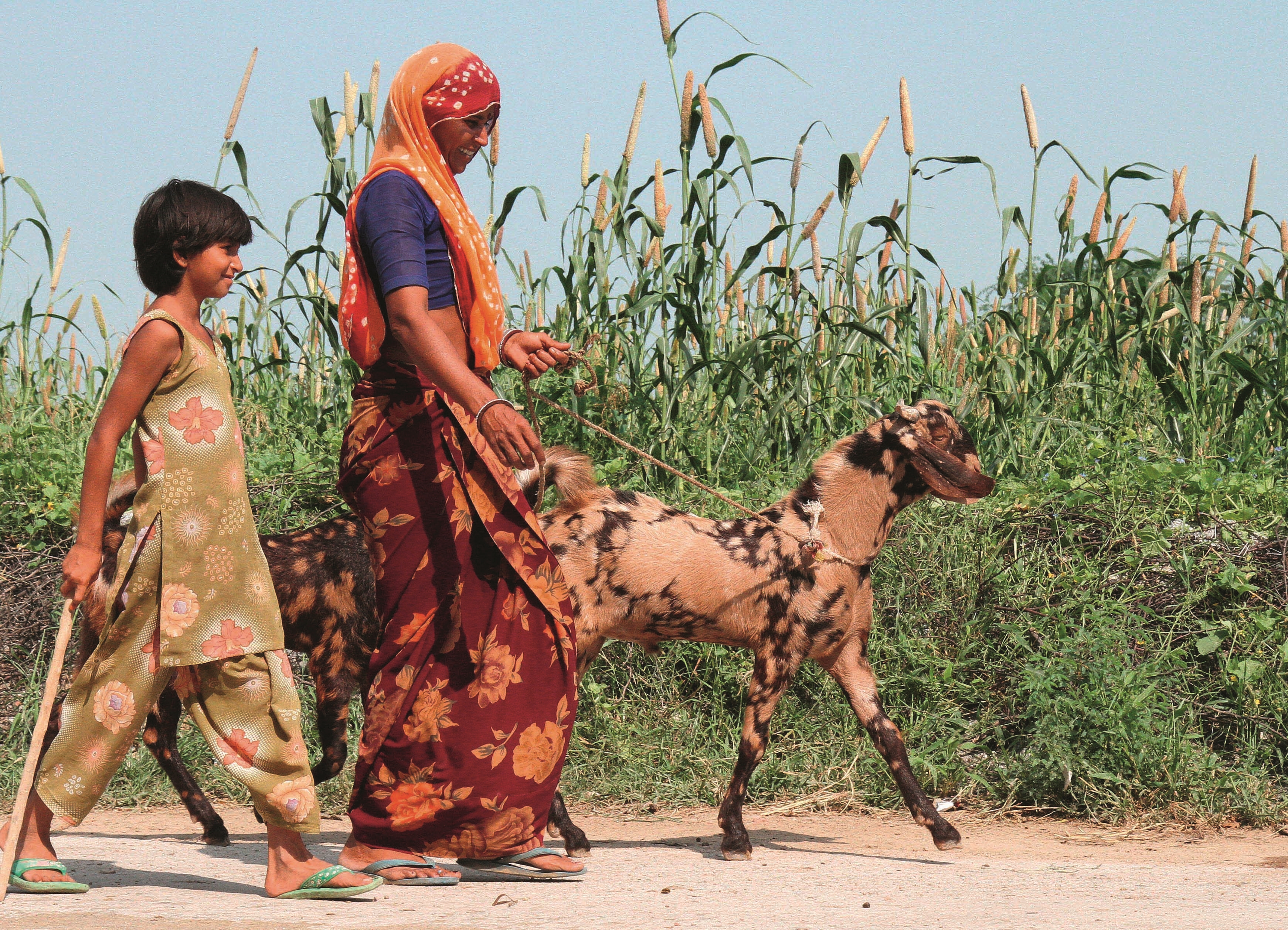 Mutter und Tochter spazieren mit einer Ziege an der Leine
