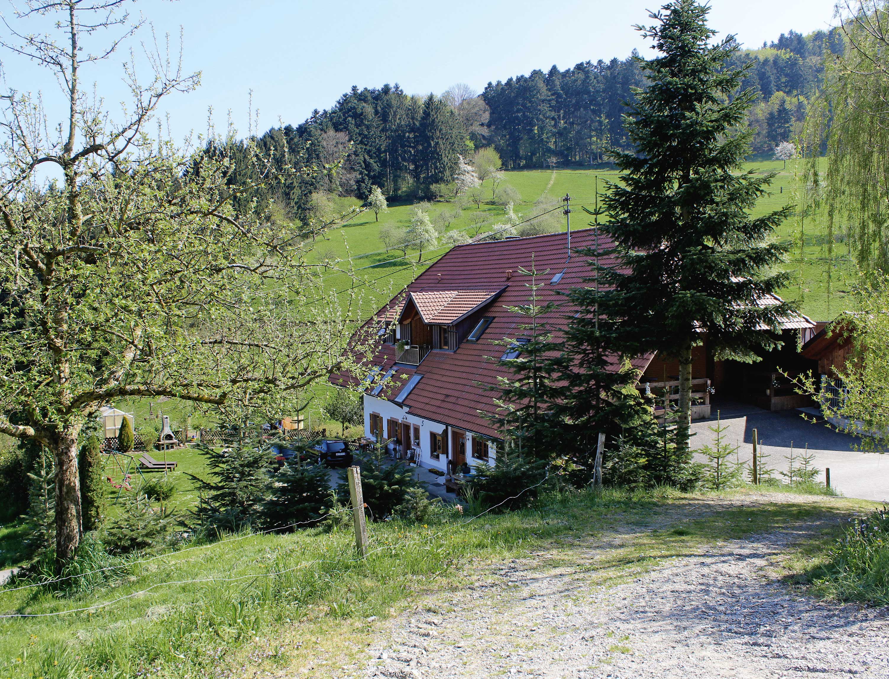 Ein Bauernhof im Schwarzwald