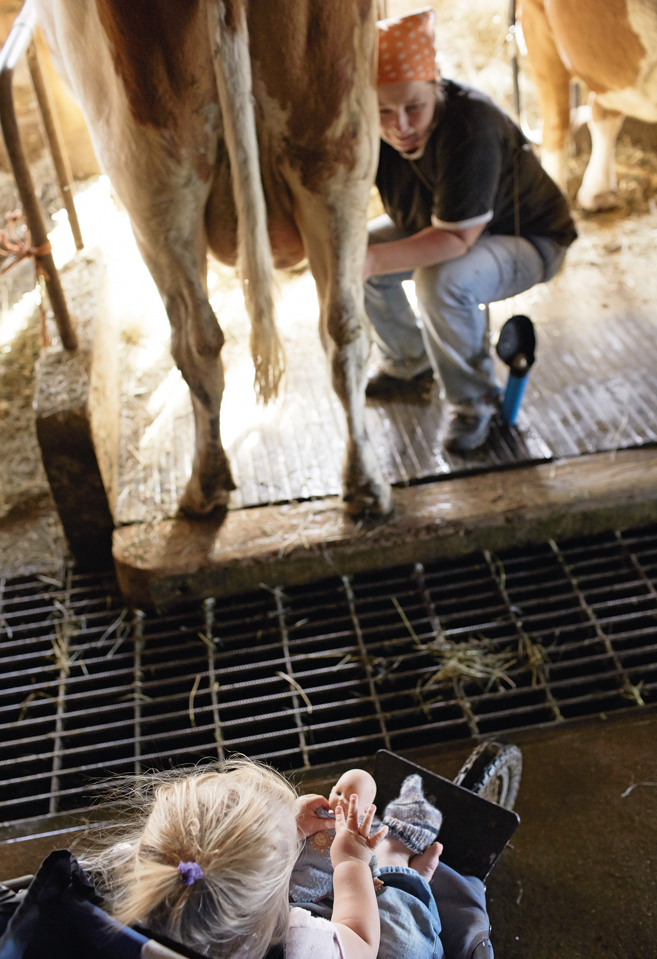Arbeit zwischen Kind und Kuh. Wenn Anna melkt, ist Liora mit dabei.