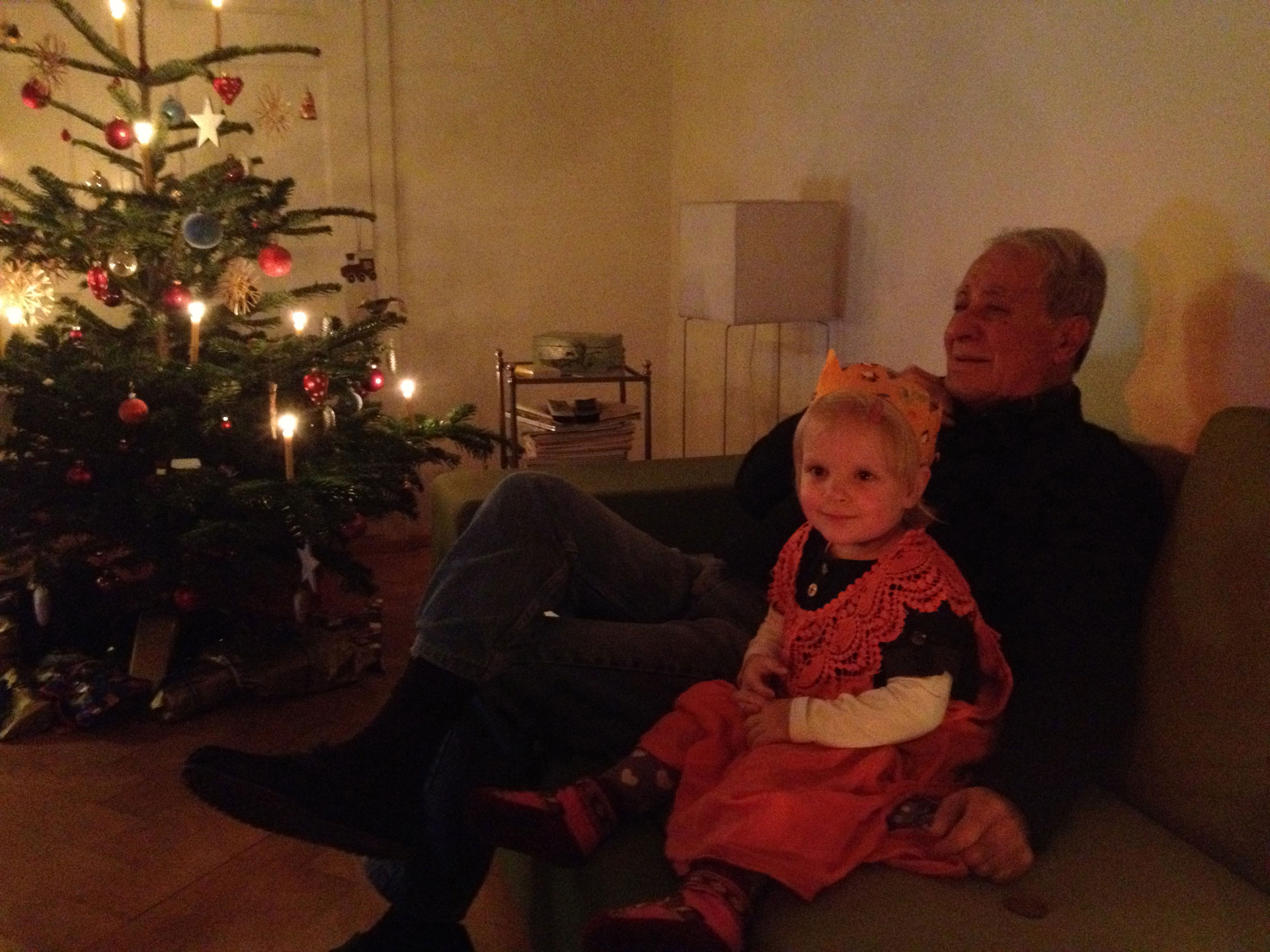 gabrielaEine Familie mit dem Weihnachtsbaum im Hintergrund.