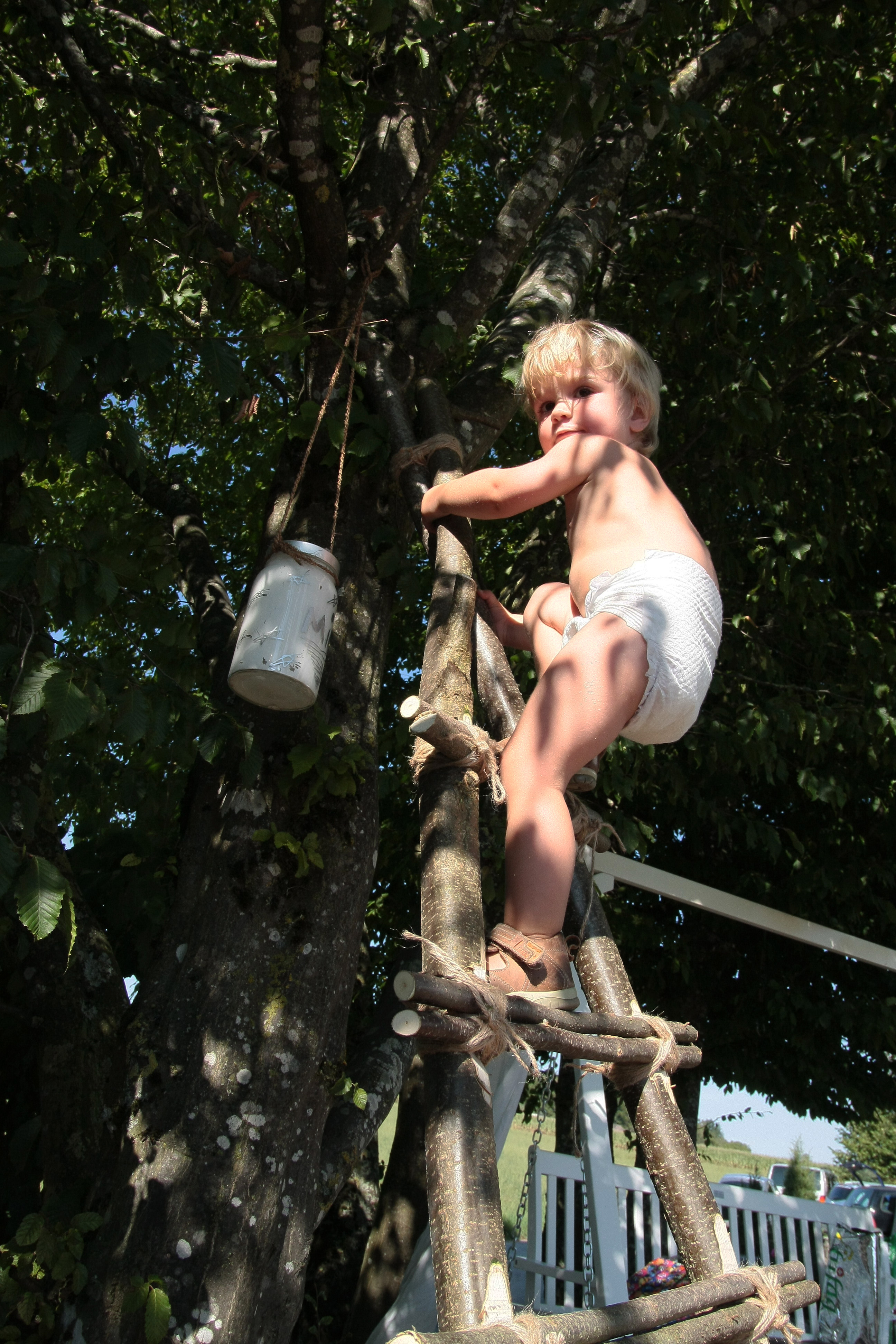 Kleinkind klettert Baum hoch