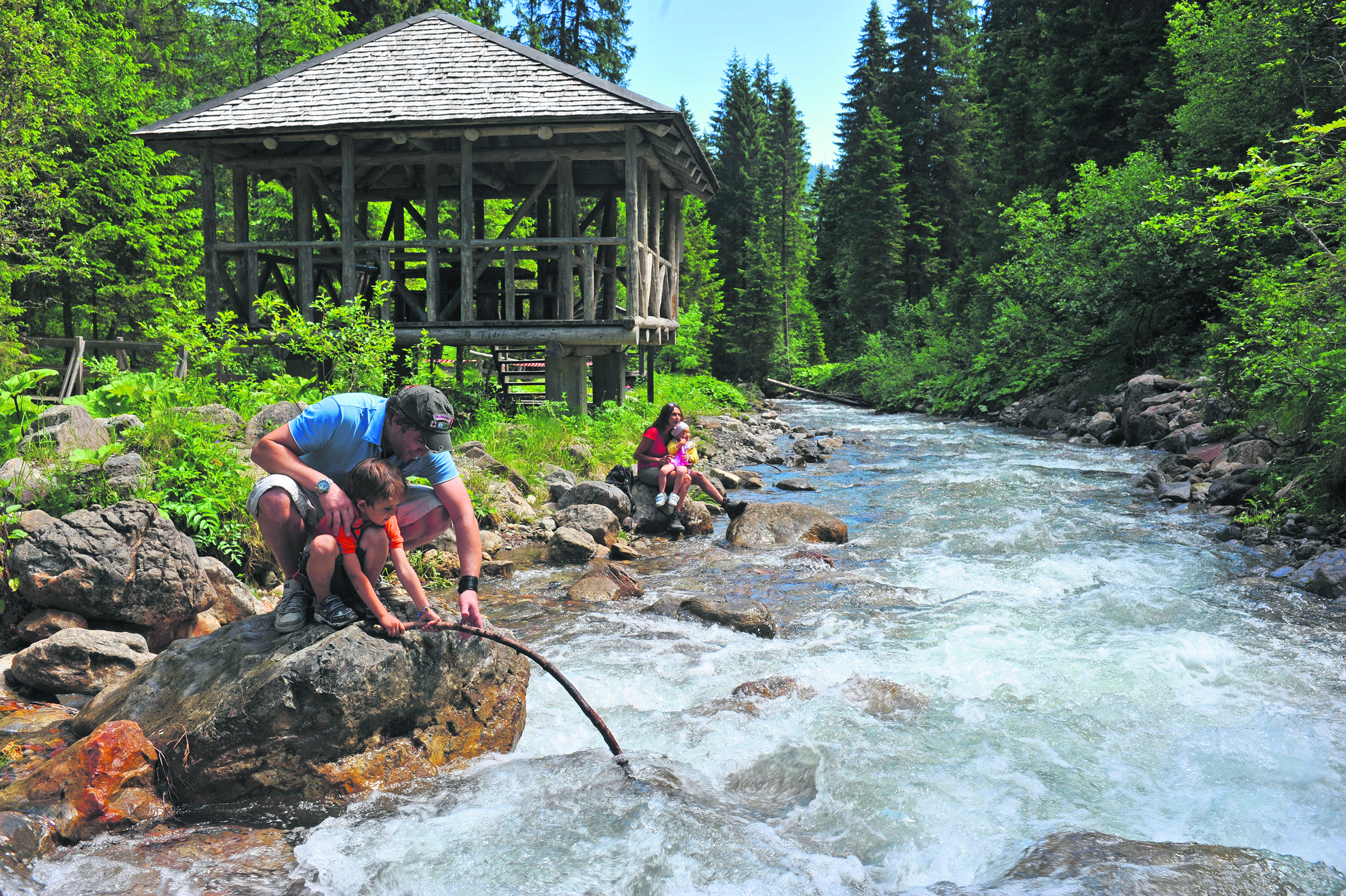 8 Morgins-Vallon-de-They