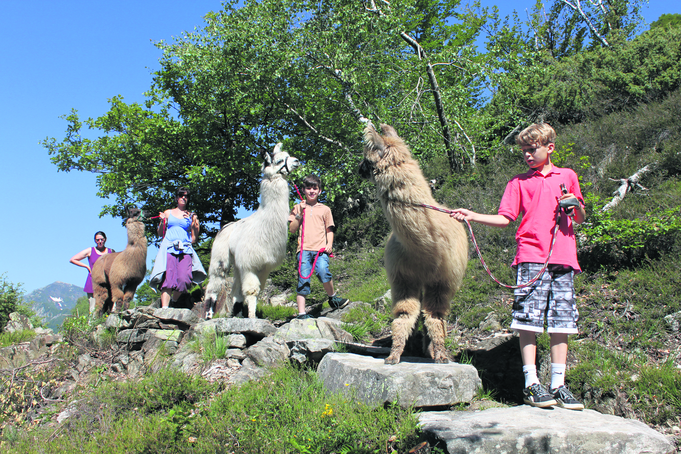 22.-Lamatrekking-Unterwegs-mit-Sack,-Pack-und-Lama