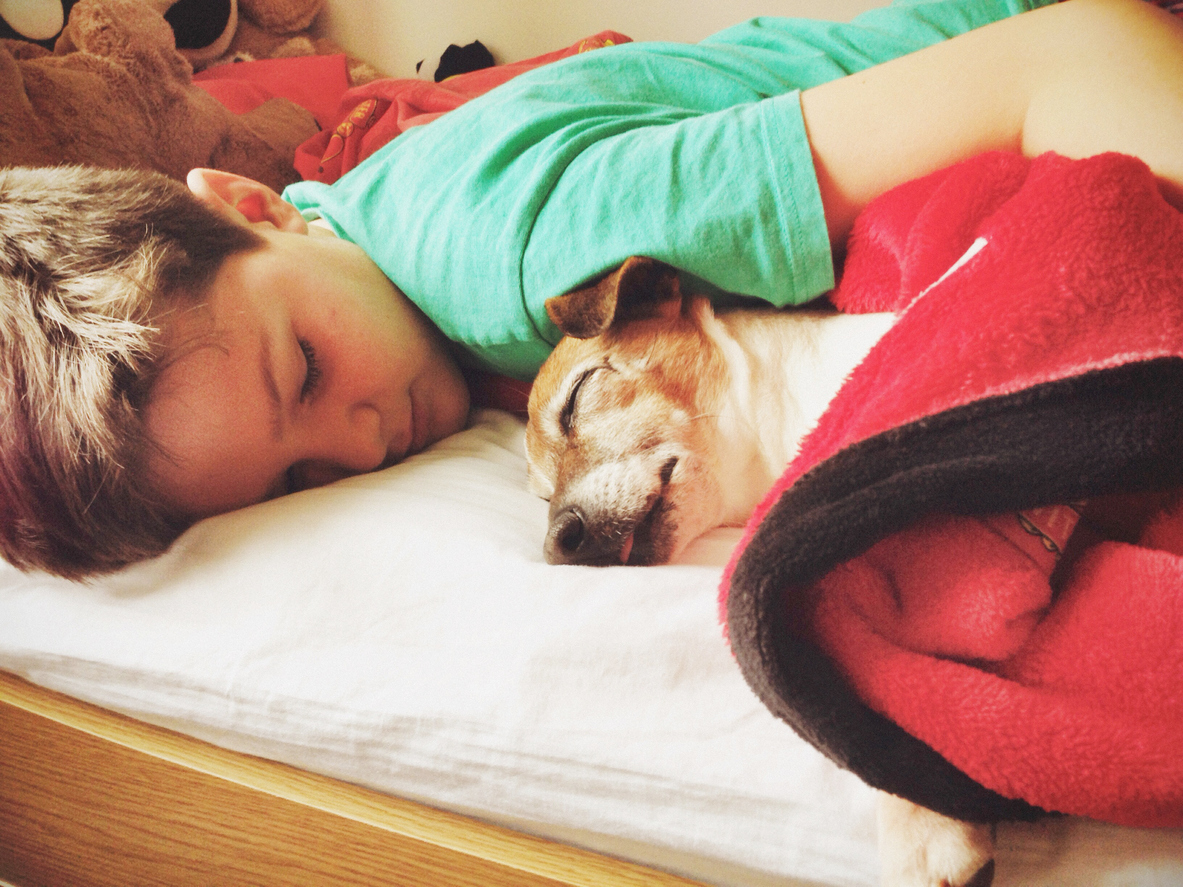 Junge mit Hund im Bett