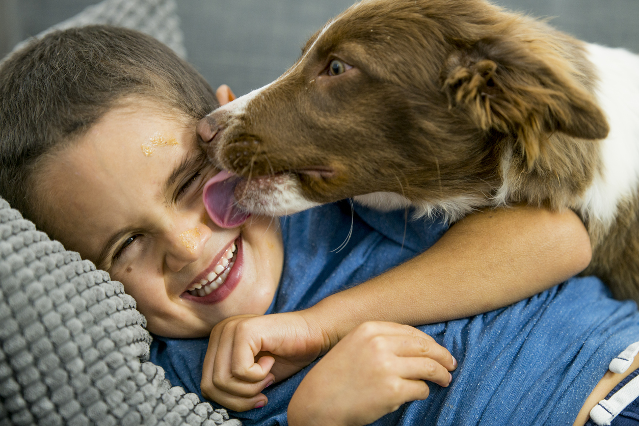 Hund leckt Jungen ab