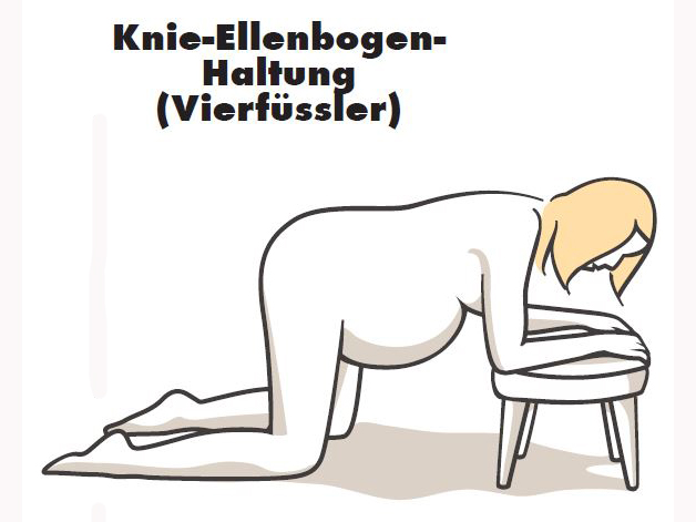 Knie-Ellenbogen-Haltung (Vierfüssler)