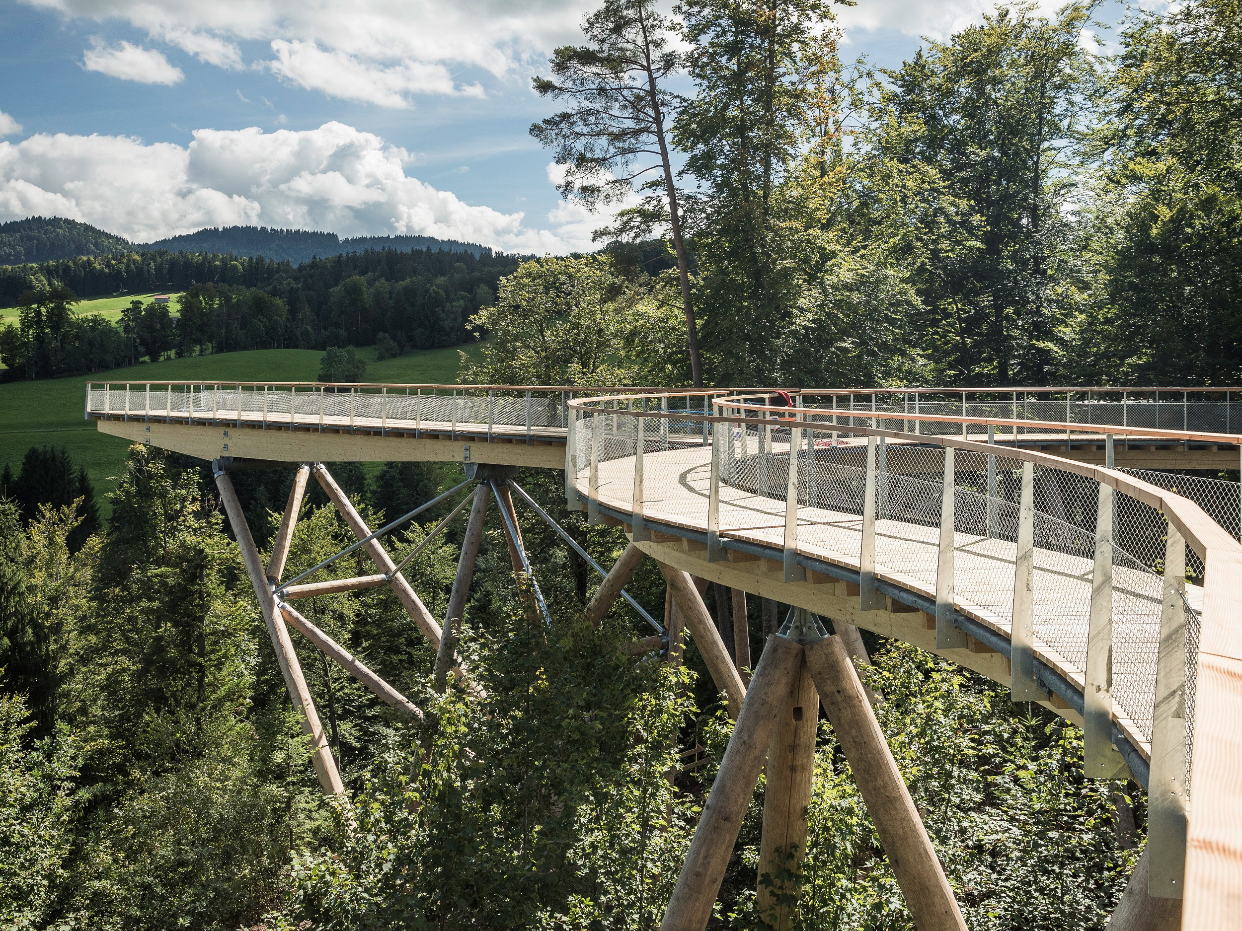 Baumwipfelpfad-Neckertal-auf-dem-Pfad-2