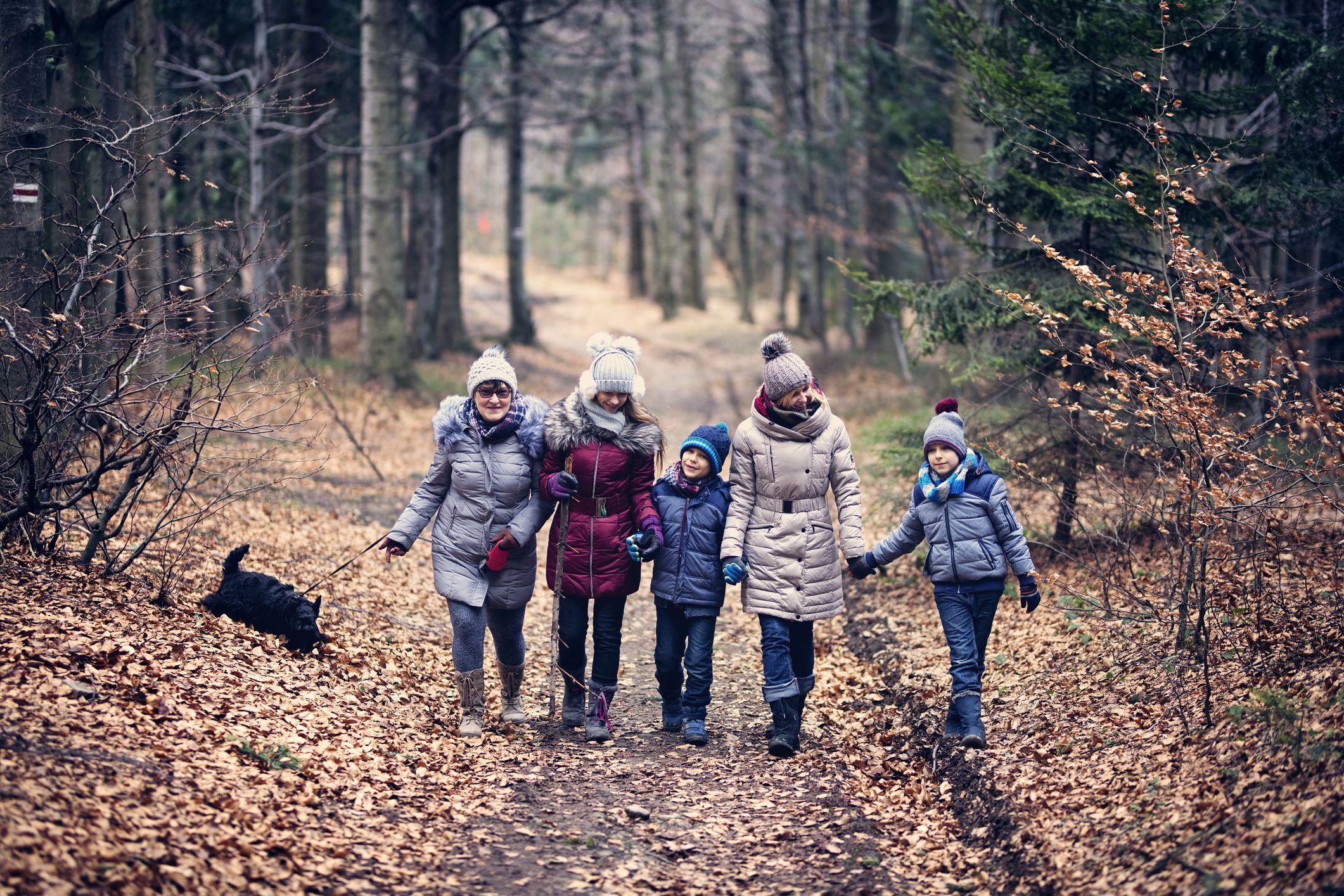 Herbst Bewegung iStock.com