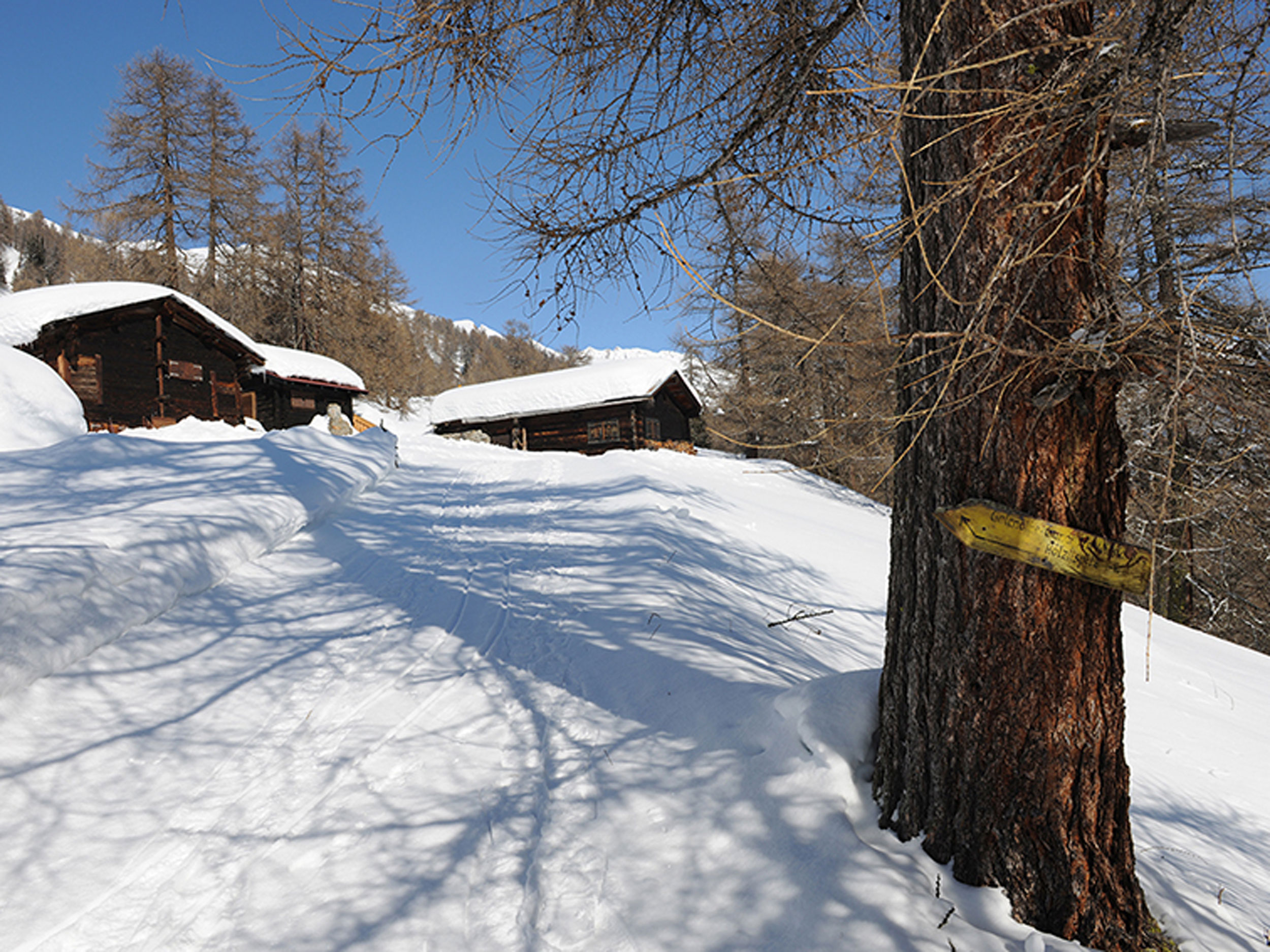 naturatrail-winterwandern