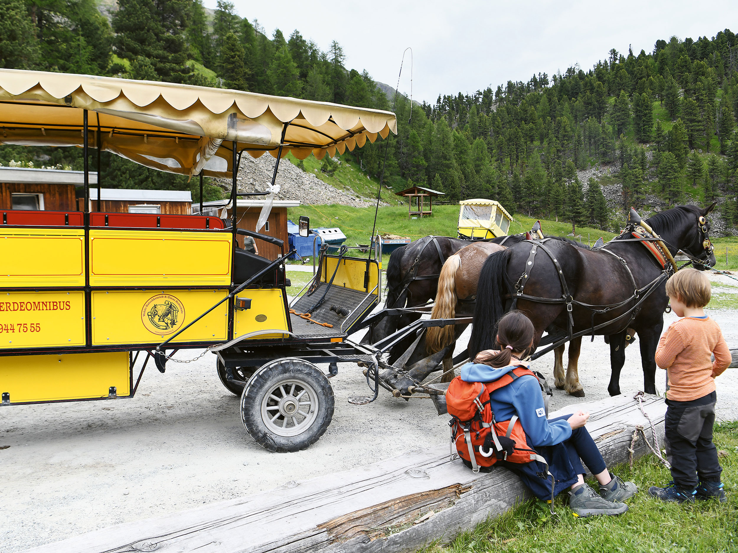 Val Roseg Pferdekutsche Juni 2018 