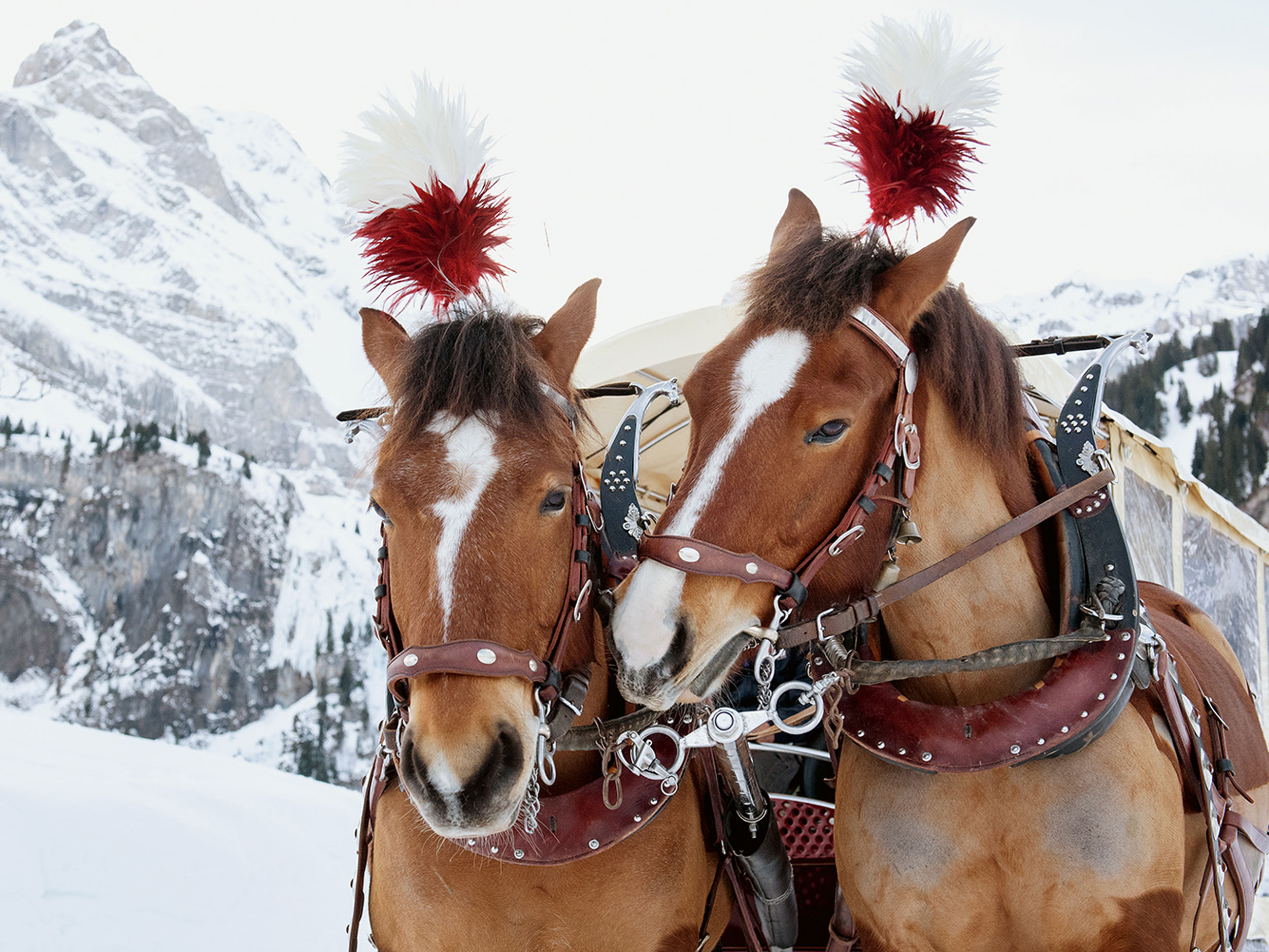 braunwald pferdekutsche © Braunwald-Klausenpass-Tourismus