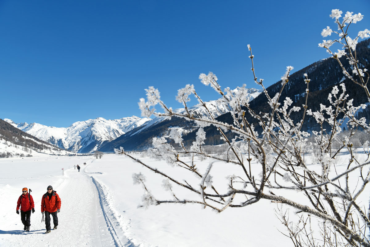 obergoms-wandern-im-schnee