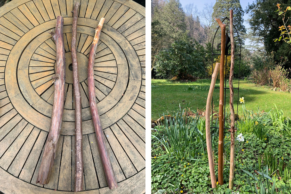 diy-aeste-fuer-wanddekoration