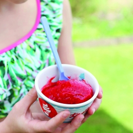 Schnelles Himbeersorbet