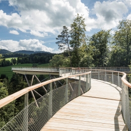 Baumwipfelpfad-Neckertal-auf-dem-Pfad