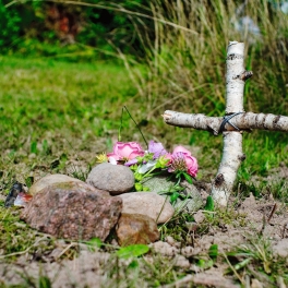 Dürfen wir die Katze im Garten begraben - bild