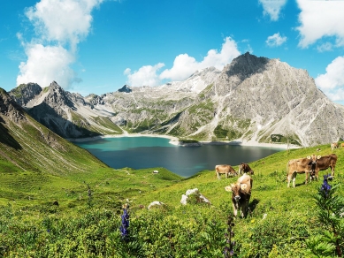 Lünersee-Panorama--(c)-Manfred-Oberhause