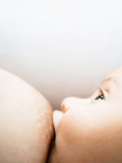 Baby an der Brust