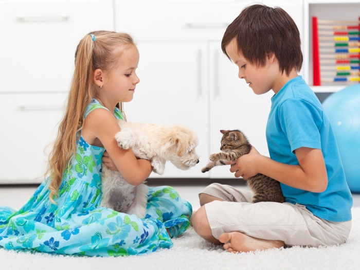 maedchen hund junge katze