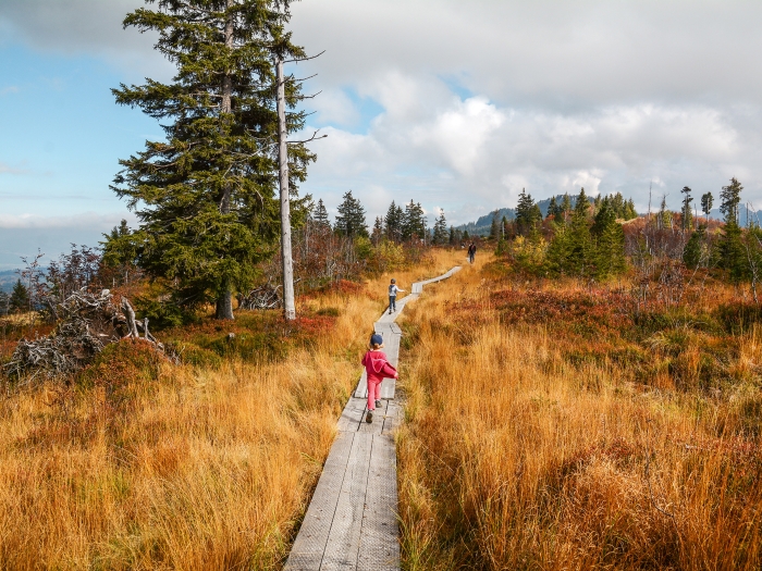 Kinder wandern im Berner Oberland