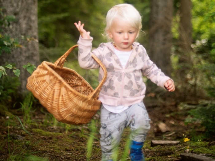 header-wildkraeuter-0520