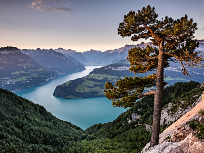 wireltern-web-seelisberg-cover