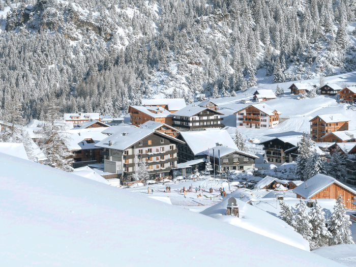 HoGo 2021 winter 03 6187-3-minimized