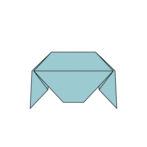 Origami 6