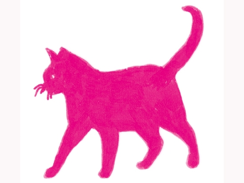Illustration: Katze