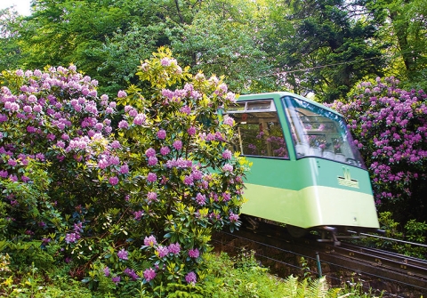 Zahnradbahn