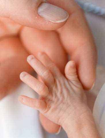 Vater hält die Hand des Frühgeborene