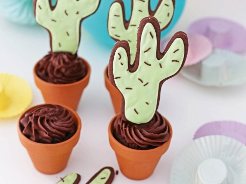 Cupcakes und Kaktus-Guetzli