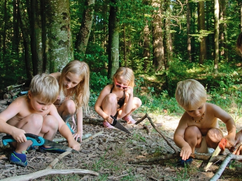 Kinder beim Sägen von Ästen