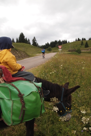 Kind sitzt auf Esel