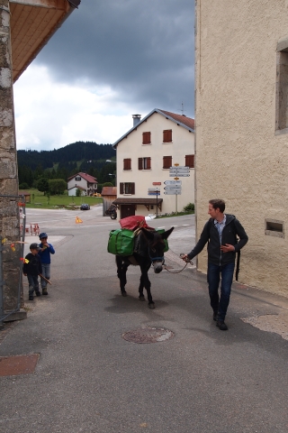 Esel in Dorf