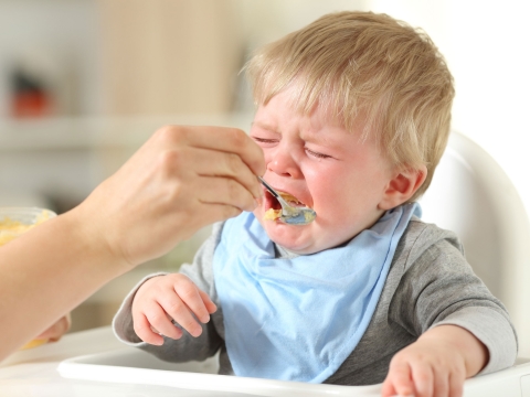 Drama: Wenn Babys Essen verweigern