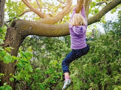 iStock-695670342