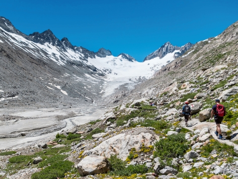 Oberaargletscher, Blick in Richtung Geröllhalde bei der Gletscherzunge