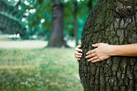 kinderlos-fürs-klima-baum-0320