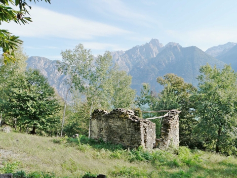 Kastanien17